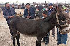 Kashgar, Xinjiang-Uyghur, China, 30 October 2011