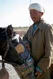 An Uzbek man feeding his horse on the outskirts of Herat.
