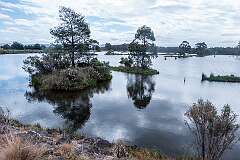 Bradys Lake, along the Lyell Highway, 6 kilometres south of the geographical centre of Tasmania.