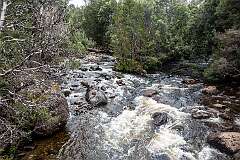 The Cuvier River from the Overland Track at Lake St Clair, at the southern end of the Cradle Mountain-Lake St Clair National Park..
