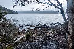 View of Platypus Bay from the Platypus Bay Track. at Lake St Clair (Leeawulwwna), Australia's deepest freshwater lake.