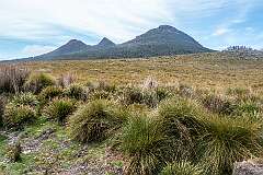 Button grass and the landscape along the Lyell Highway, between Lake St Clair and Queenstown.