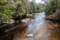 The Franklin River from the Frenchmans Cap Suspended Bridge.