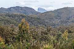View to Frenchmans Cap, in the Franklin-Gordon Wild Rivers National Park, at 1,446 metres above sea level.