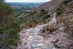 The trail to Horseshoe Falls, between Gormanston and Queenstown.