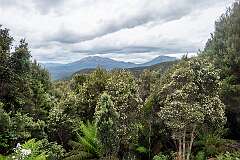 View of the wilderness, from the Lyell Highway, 23 kilometres east of Strahan.