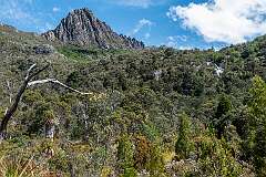 Cradle Mountain from the Dove Lake Circuit, on the southern point.