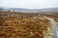 The Maryland Track, boardwalk just south of Waldheim, one of the trails at Cradle Mountain.