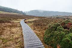 The Maryland Track, boardwalk just south of Waldheim, one of the trails at Cradle Mountain.