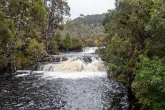 Rapids of Pencil Pine Creek from Cradle Mountain Road, just south of Peppers Cradle Mountain Lodge.