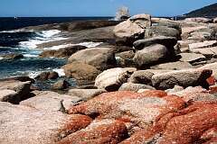 The rocky coast at Bicheno in the north east of the island.