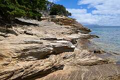 At the Painted Cliffs on Maria Island.