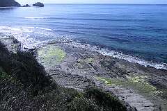 The “Tesselated Pavement”, a typical geological formation on Forestier Peninsula, south eastern Tasmania.