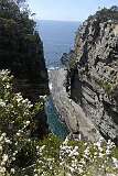 View to the sea at Devils Kitchen, on the east coast of Tasman Peninsula, in Tasman National Park.