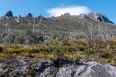 Mountain view at the highest point on the Gordon River Road, 651-metre altitude.