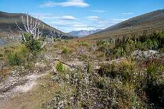 Landscape at the highest point on the Gordon River Road.