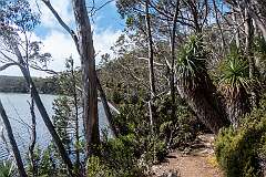 Lake Dobson, an alpine lake in Mount Field National Park.