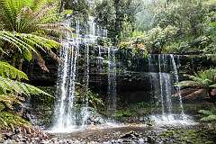 Russell Falls, Mount Field National Park.