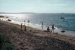 The beach at Sandy Bay, to the south of Hobart.