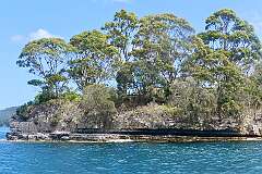 The Isle of the Dead, the final resting place not only for convicts, but also civilian and military officers, their wives and children. Between 1833 and 1877 around 1100 people were buried at the settlement’s cemetery.