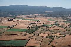 Flying over the fields of northern Tasmania, near Launceston.