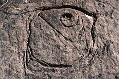 A petroglyph made by the Aboriginal people, near the town of Devonport.