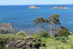 Coastal view from Penguin Road near the Three Sisters, 25 kilometres west of Devonport.