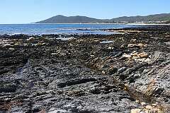 Coastal view towards Sisters Beach, Rocky Cape National Park.