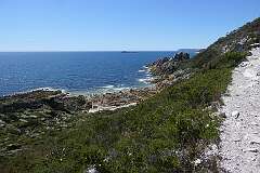 View from the Lee Archer Cave Track, in Rocky Cape National Park.