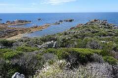 Coastal view near the North Cave, Rocky Cape National Park.