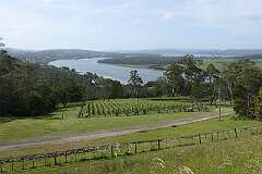 View to the River Tamar from Bradys Lookout, along the West Tamar highway in Rosevears, 20 kilometres northwest of Launceston.