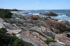 View from Eddystone Point in Mount William National Park, rocks with lichen, on the northeast Tasmanian coast.