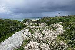 View to the Eddystone Point Lighthouse in Mount William National Park.