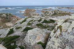 The rocky coast in Marrawah, northwest Tasmania.