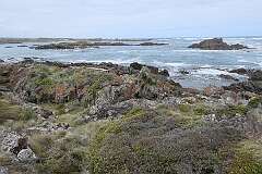 View, looking south, at Couta Rocks.
