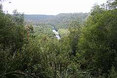 View from Sumac Lookout to the Arthur River, along Sumac Road on the Tarkine Drive.