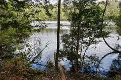 View of Lake Chisholm, a sinkhole in the Lake Chisholm Forest Reserve.