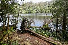 Lake Chisholm, a sinkhole in the Lake Chisholm Forest Reserve.