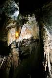 Stalactites and “shawl” formations in the Gunns Plains Caves.