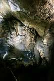 Stalactite formations in the Gunns Plains Caves.