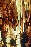 Stalactites and stalagmites in Hastings Caves, a complex of caves and a natural hot prings, 13 kilometres northwest of Southport.
