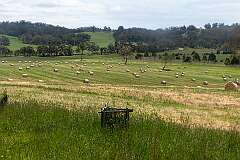 Bales of hay, on a farm along Bruny Island Main Road, on North Bruny Island.