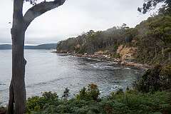Coal Point, on Adventure Bay, the site of coal mining operations from 1876 to c. 1891.