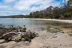 View of Jetty Beach, on the north coast of the Labillardiere Peninsula in the southwest of South Bruny Island.