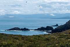 View from below Cape Bruny Lighthouse, looking northwest to Courts Bay, in the far south of South Bruny Island.