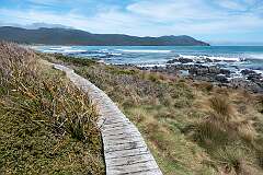 View of Cloudy Bay from the boardwalk.