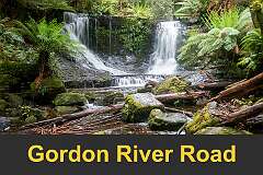 Gordon River Road