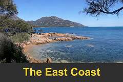 The East Coast
