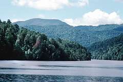 Old forests along the Gordon River, on the The West Coast: Strahan and Macquarie Harbour of Tasmania. This whole region is now a World Heritage Area.