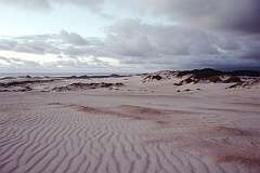 Henty Dunes, 12 kilometres north of Strahan, on the Zeehan road, the largest moving dune system in Tasmania.